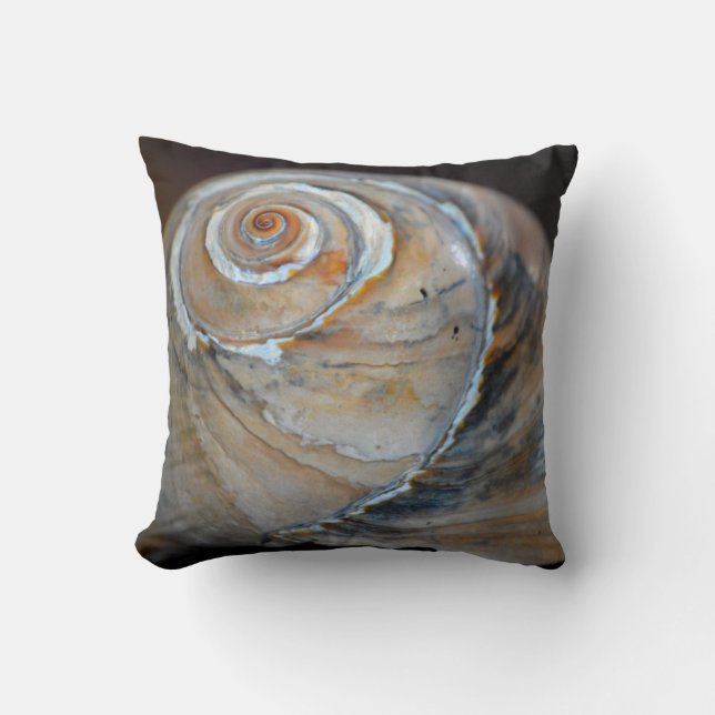 Regenbogen Moonsnail Kissen (Vorderseite)