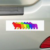 Regenbogen Newfie Autoaufkleber (Auf Auto)