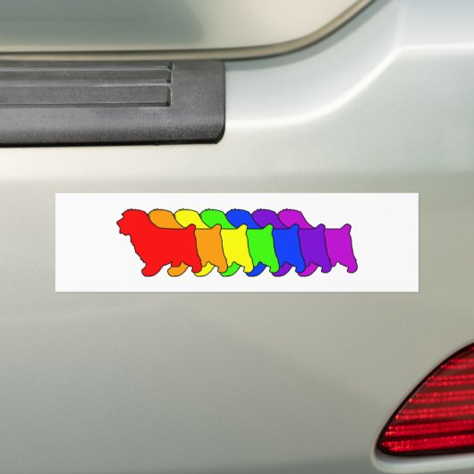 Regenbogen Norfolk Autoaufkleber (Auf Auto)