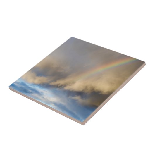 Regenbogen-Rebellion Fliese (Seite)