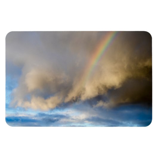 Regenbogen-Rebellion Magnet (Horizontal)