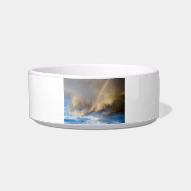 Regenbogen-Rebellion Napf (Vorderseite)