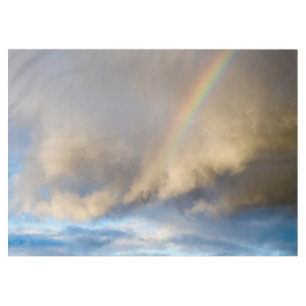 Regenbogen-Rebellion Tischdecke