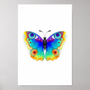 Regenbogen Schmetterling Pfauenauge Poster