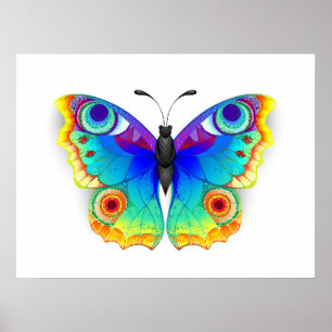 Regenbogen Schmetterling Pfauenauge Poster