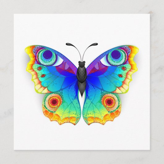 Regenbogen Schmetterling Pfauenauge Programm (Vorderseite)