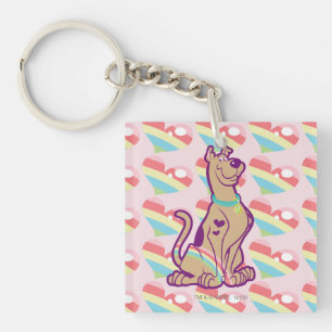 Regenbogen Scooby-Doo Schlüsselanhänger