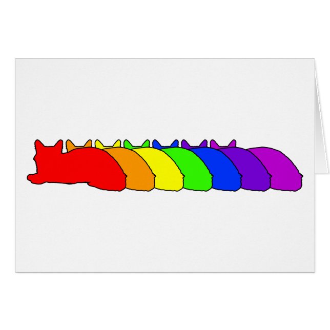 Regenbogen somalisch (Vorderseite (Horizontal))