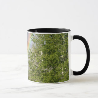 Regenbogen-Tasse Tasse
