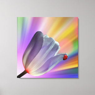Regenbogen, Tulips und Ladybug Leinwanddruck