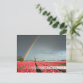 Regenbogen, Tulpen und Bar Postkarte für Windmühle (Stehend Vorderseite)