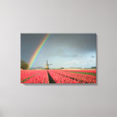 Regenbogen, Tulpen und Leinwand von Windmühle (Vorderseite)