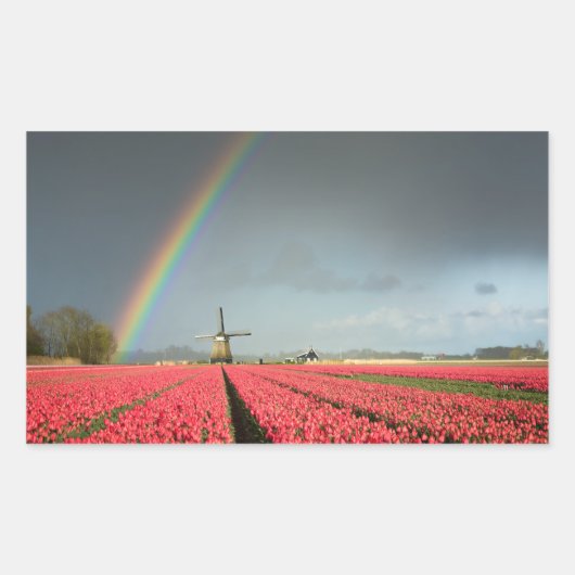 Regenbogen, Tulpen und rechteckige Aufkleber für W (Vorderseite)