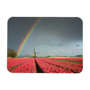 Regenbogen-, Tulpen- und rechteckige Windmühle-Mag Magnet
