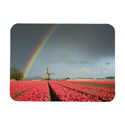 Regenbogen-, Tulpen- und rechteckige Windmühle-Mag Magnet (Horizontal)