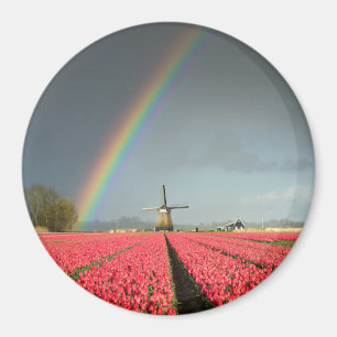 Regenbogen, Tulpen und runder Magnet der Windmühl