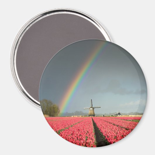 Regenbogen, Tulpen und Rundmagnete Magnet (Vorderseite/Rückseite)