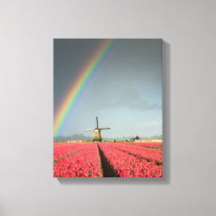 Regenbogen, Tulpen und vertikale Leinwand für Wind