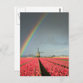 Regenbogen, Tulpen und vertikale Windmühle Postkarte (Vorne/Hinten)