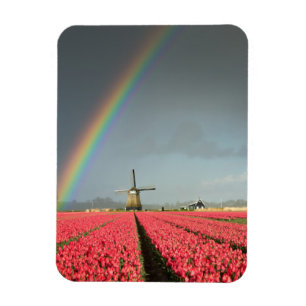 Regenbogen, Tulpen und vertikaler Windmühle-Magnet Magnet