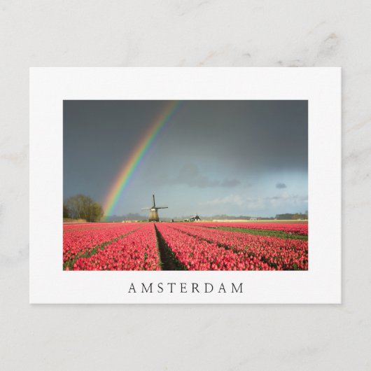 Regenbogen, Tulpen und Windmühle Amsterdam Postkar Postkarte (Vorderseite)