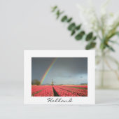 Regenbogen, Tulpen und Windmühle in Holland Postka Postkarte (Stehend Vorderseite)