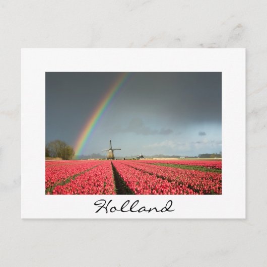 Regenbogen, Tulpen und Windmühle in Holland Postka Postkarte (Vorderseite)