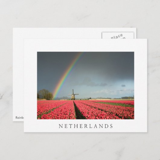Regenbogen, Tulpen und Windmühle Niederlande Postk Postkarte (Vorne/Hinten)