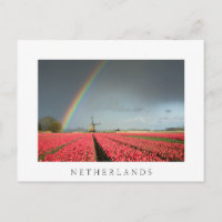 Regenbogen, Tulpen und Windmühle Niederlande Postk