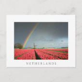 Regenbogen, Tulpen und Windmühle Niederlande Postk Postkarte (Vorderseite)