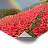 Regenbogen, Tulpen und Windmühle Poster (Ecke)