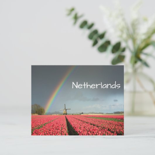 Regenbogen, Tulpen und Windmühle Postkarte (Stehend Vorderseite)