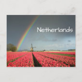 Regenbogen, Tulpen und Windmühle Postkarte (Vorderseite)