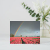 Regenbogen, Tulpen und Windmühle, Postkarte (Stehend Vorderseite)