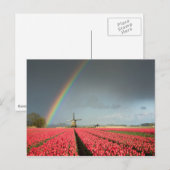 Regenbogen, Tulpen und Windmühle, Postkarte (Vorne/Hinten)