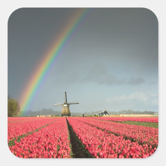 Regenbogen, Tulpen und Windmühle Quadratischer Aufkleber (Vorderseite)