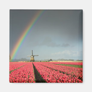 Regenbogen, Tulpen und Windmühlenmagnet Magnet