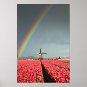 Regenbogen, Tulpen und Windmühlenvertikaleplakat Poster