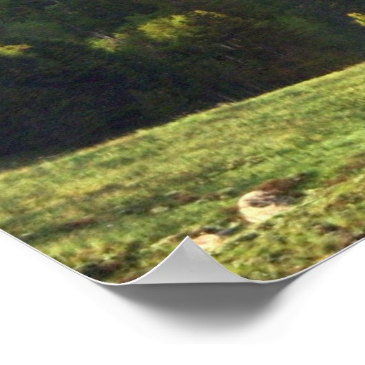 Regenbogen über Colorado Berggipfel mit/ Text Poster (Ecke)