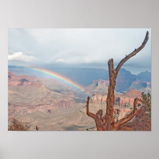 Regenbogen über dem Grand Canyon Poster (Vorne)