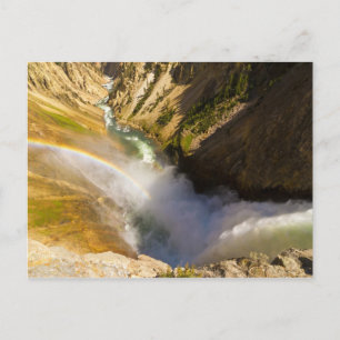 Regenbogen über dem Lower Yellowstone Falls Postkarte