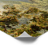 Regenbogen über den Bergen Poster (Ecke)