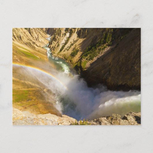 Regenbogen über die Fälle von Lower Yellowstone Postkarte (Vorderseite)