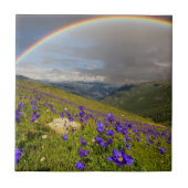 Regenbogen über einer blühenden Wiese Fliese (Vorderseite)