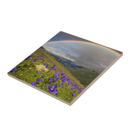 Regenbogen über einer blühenden Wiese Fliese (Seite)