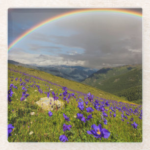 Regenbogen über einer blühenden Wiese Glasuntersetzer