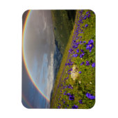 Regenbogen über einer blühenden Wiese Magnet (Vertikal)