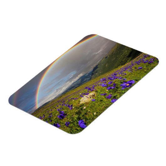 Regenbogen über einer blühenden Wiese Magnet (Linke Seite)
