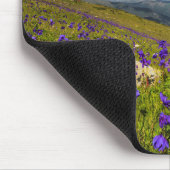 Regenbogen über einer blühenden Wiese Mousepad (Ecke)