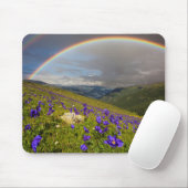 Regenbogen über einer blühenden Wiese Mousepad (Mit Mouse)
